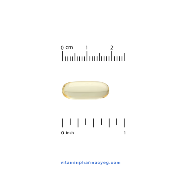 توضيح حجم كبسولة California Gold Nutrition Vitamin D3 الجيلاتينية