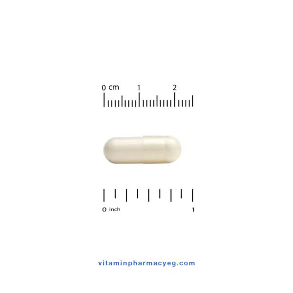 شكل وحجم كبسولة California Gold Nutrition NMN 175 mg