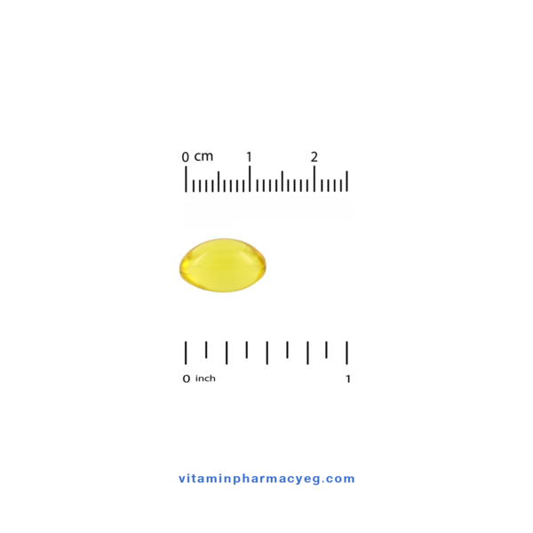 توضيح حجم كبسولة California Gold Nutrition Vitamin D3 (Softgel).